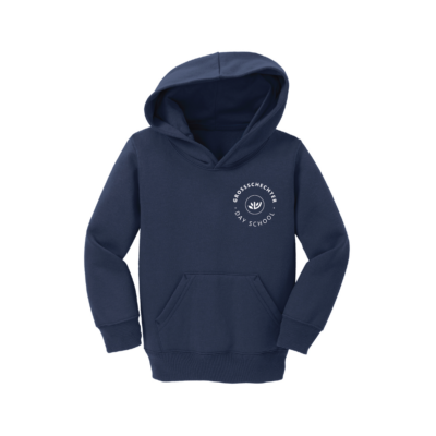 GROSS SCHECHTER HOODIE